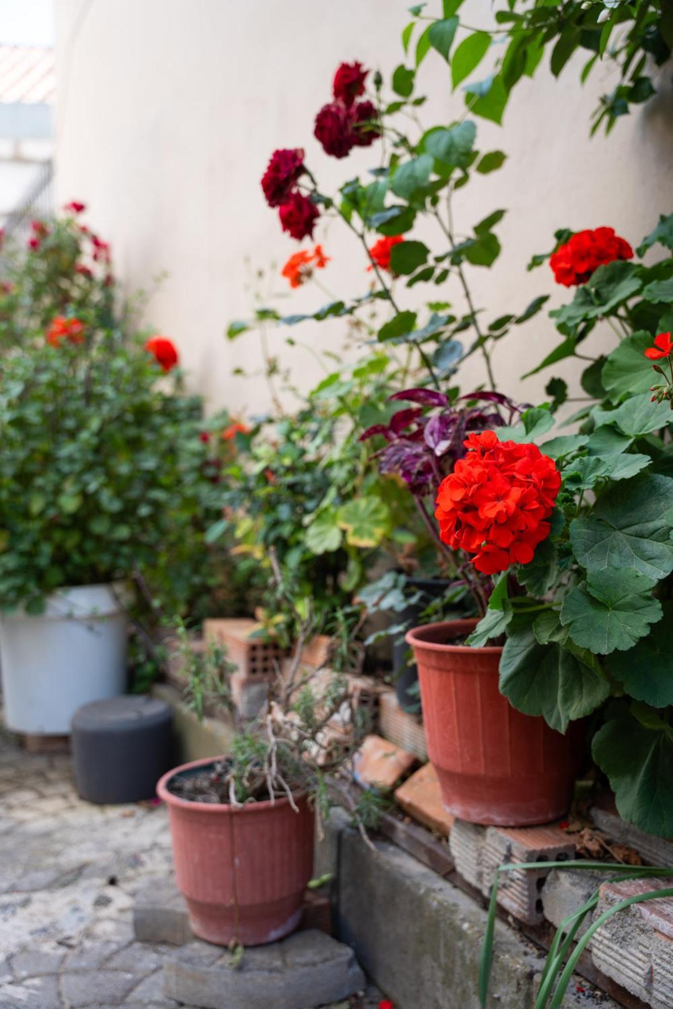 Nyx Guesthouse Τρίπολη Εξωτερικό φωτογραφία