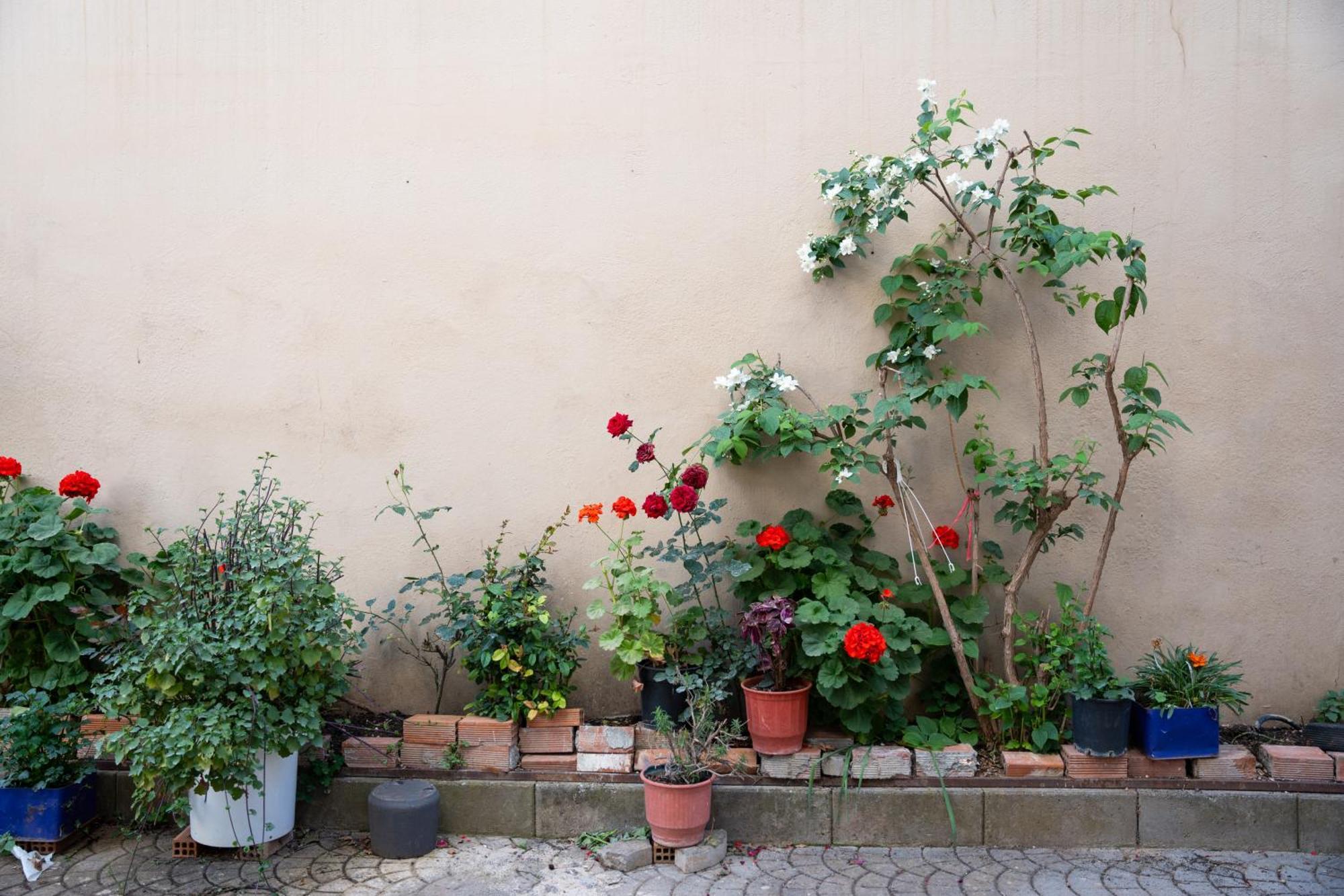 Nyx Guesthouse Τρίπολη Εξωτερικό φωτογραφία